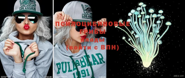 прущие грибы Магадан