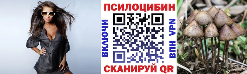 Купить закладки  Хабаровск  Галлюциногенные грибы Magic Shrooms 